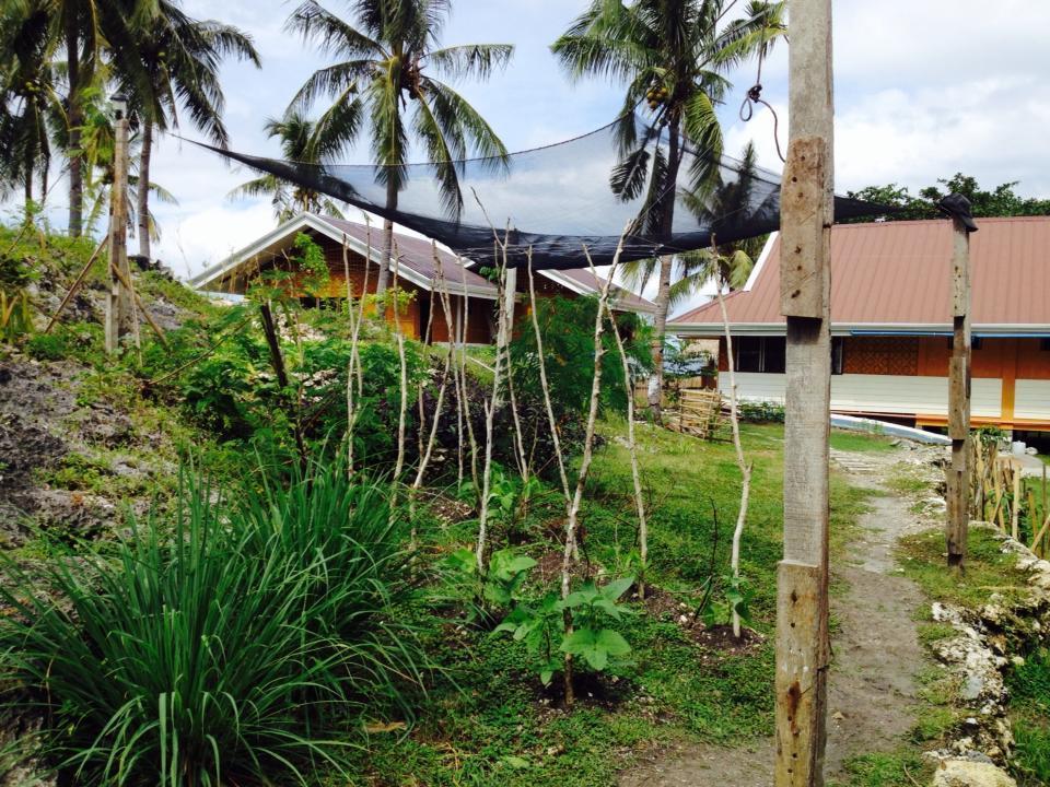 Liwayway Sa Bohol Pamilacan Resort Baclayon Room photo