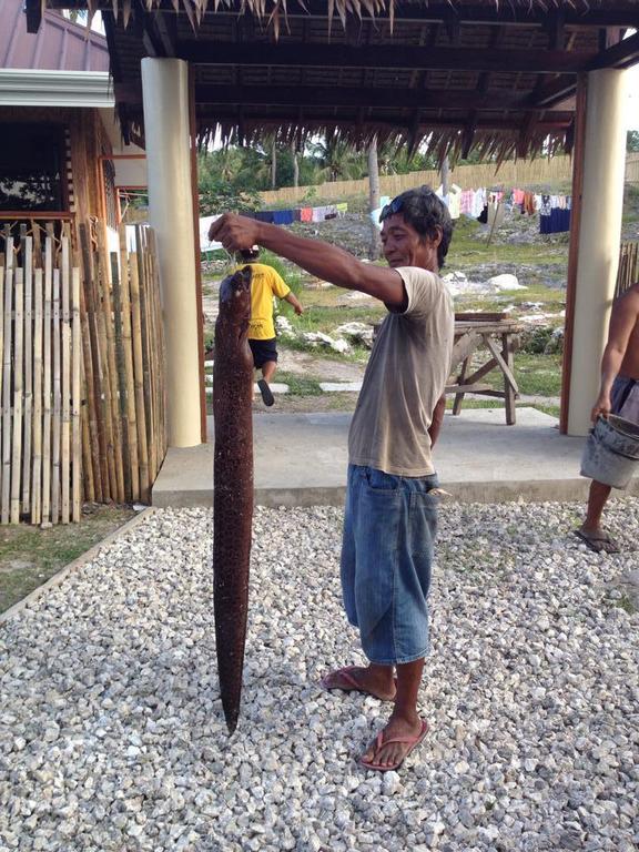 Liwayway Sa Bohol Pamilacan Resort Baclayon Exterior photo